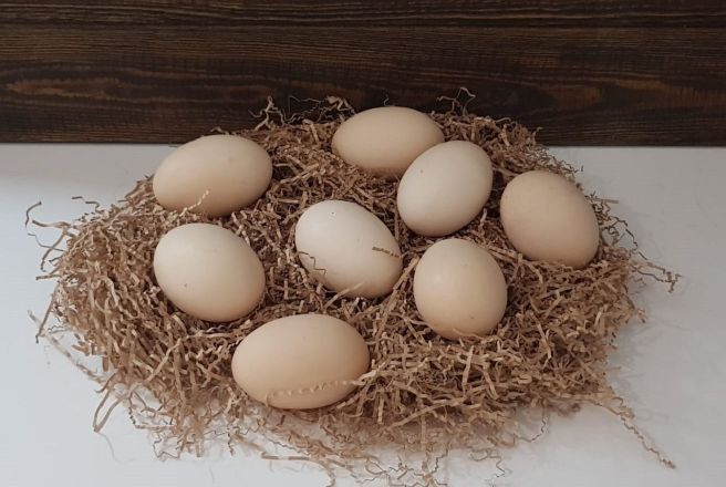 Яйцо куриное двухжелтковое 10 шт.jpg