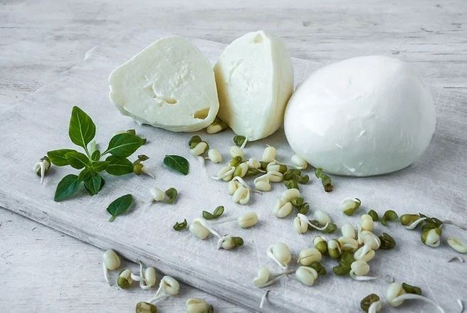 Se puede congelar la burrata