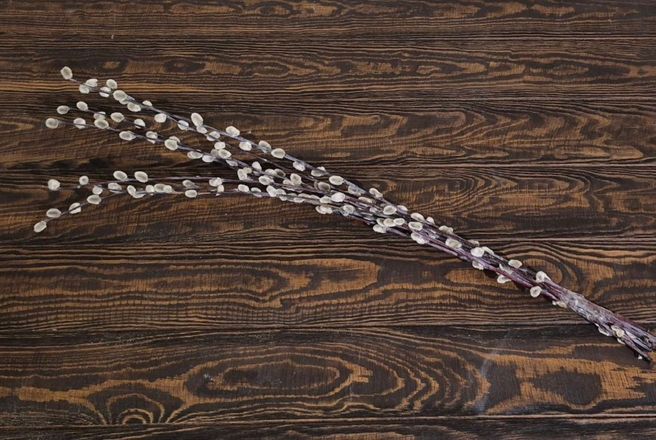 верба 60см.jpg