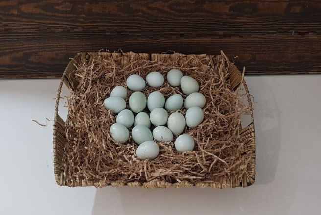 Яйца перепелиные голубые.jpg