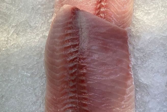 сазан филе.jpg