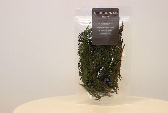 Ветки можжевельника.jpg