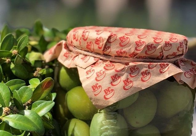 оливки с   косточки.jpg
