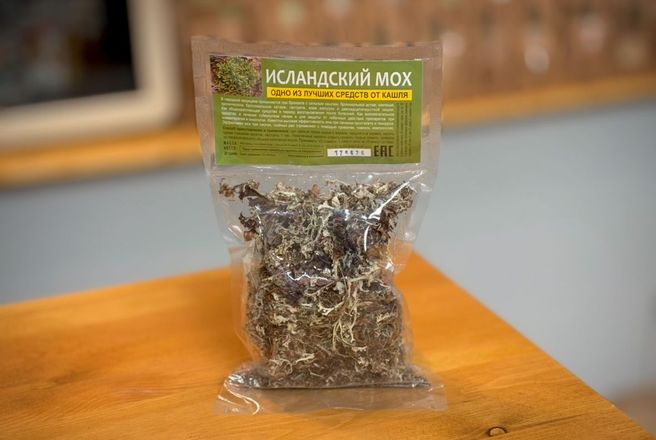 исландский мох.JPG
