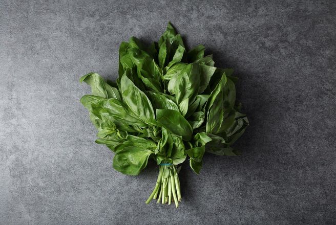 Базилик зеленый (6).jpg